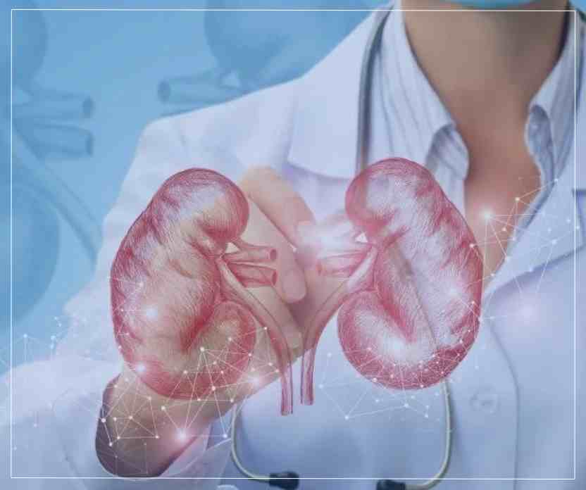 Diseases Treated by a Nephrology Doctor in Naktala Diseases Treated by a Nephrology Doctor in Naktala