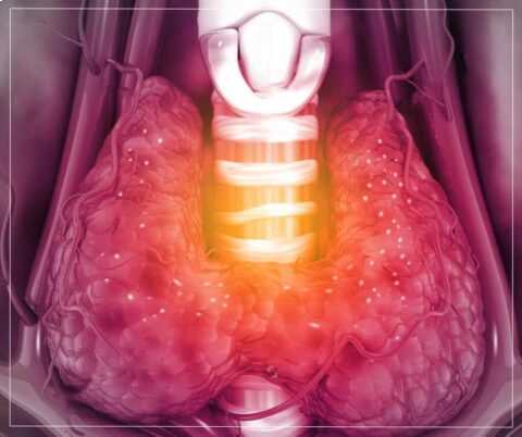 Diseases Treated by an Endocrinology Doctor in Kolkata Diseases Treated by an Endocrinology Doctor in Kolkata
