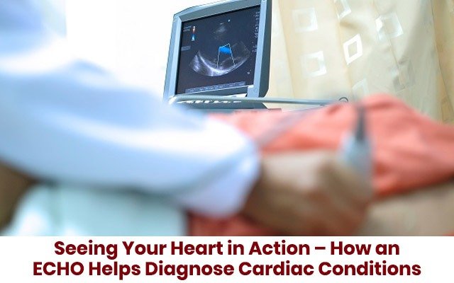 Seeing Your Heart in Action – How an ECHO Helps Diagnose Cardiac Conditions